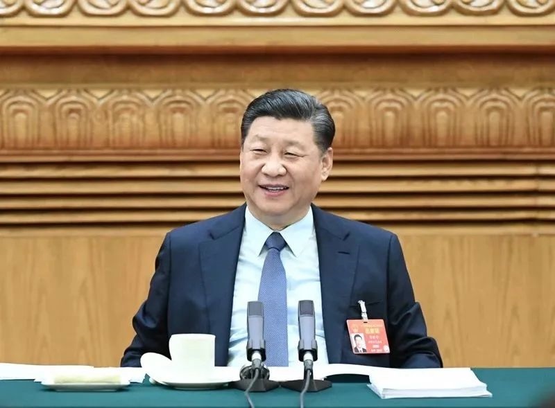 2019年3月8日，習(xí)近平參加十三屆全國人大二次會議河南代表團的審議。新華社記者 謝環(huán)馳 攝