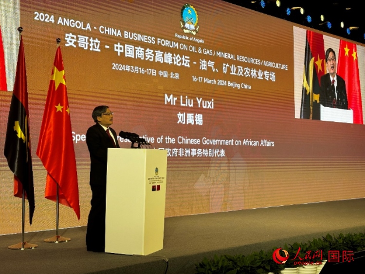 中國政府非洲事務特別代表劉禹錫。人民網(wǎng)記者 張榮攝