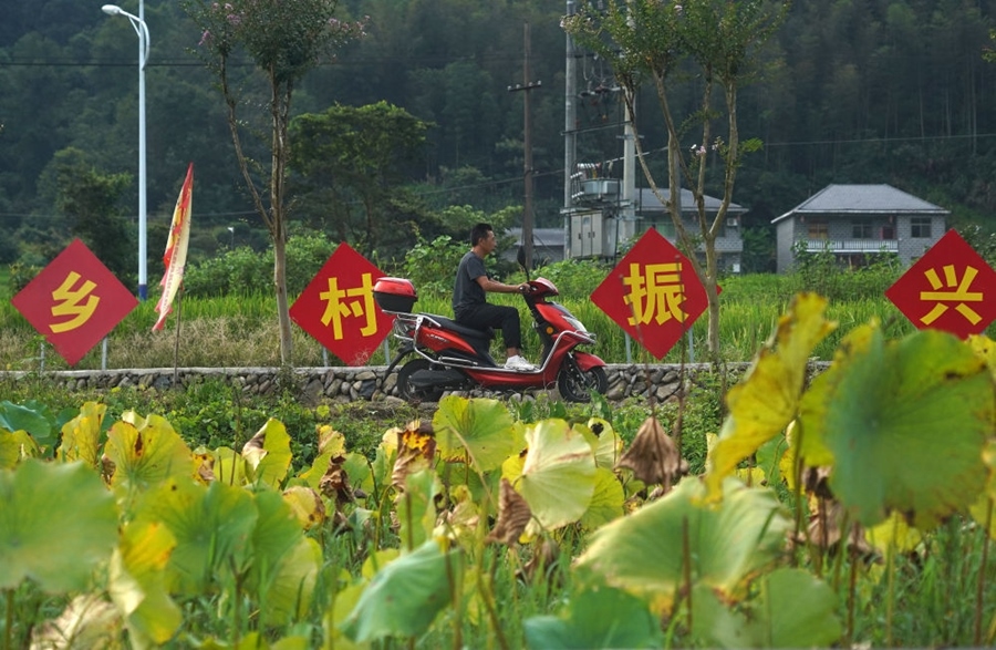2023年8月24日拍攝的江西省靖安縣璪都鎮(zhèn)港背村一景。該村在當?shù)卣С窒?，修古建，建民宿，搞開發(fā)，引進竹筏漂流、觀光采摘、農(nóng)耕體驗、森林研學(xué)等多種旅游業(yè)態(tài)，建成新田園生態(tài)度假小鎮(zhèn)，發(fā)展鄉(xiāng)村旅游，走上致富路。