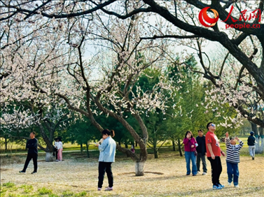 游客在北京長陽公園賞花。人民網記者 劉微攝