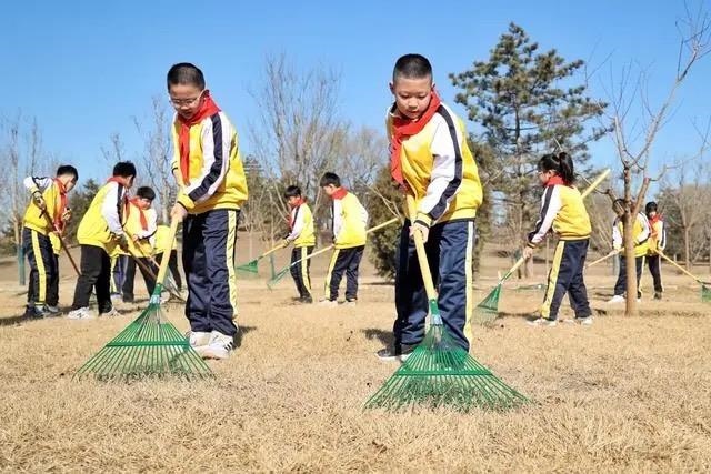 △2024年3月12日，北京城市綠心森林公園，參加植樹節(jié)主題活動的學(xué)生們學(xué)習(xí)義務(wù)植樹知識，并進(jìn)行現(xiàn)場撫育管護(hù)。