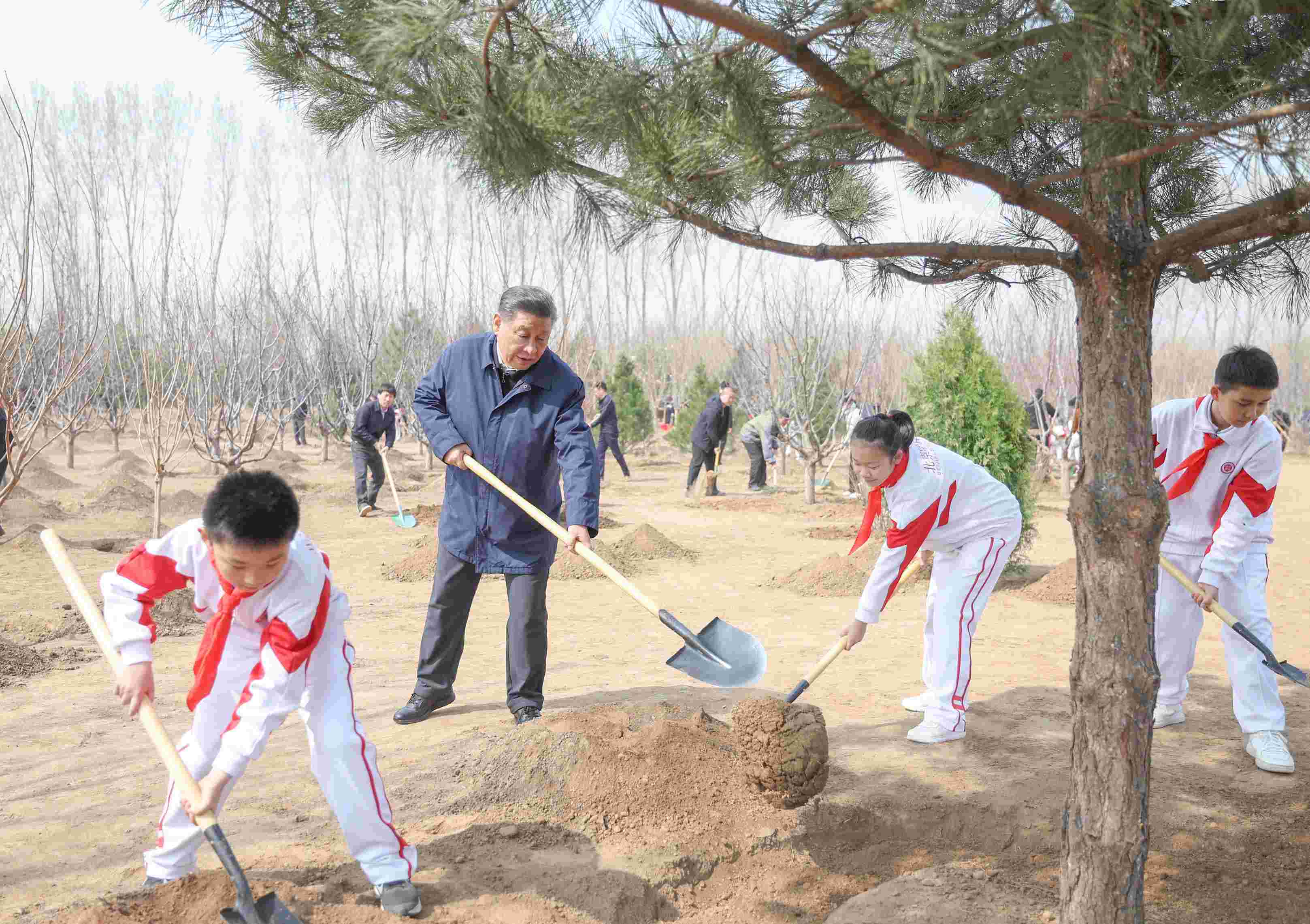 2024年4月3日，習(xí)近平總書記來(lái)到北京市通州區(qū)潞城鎮(zhèn)參加首都義務(wù)植樹活動(dòng)。