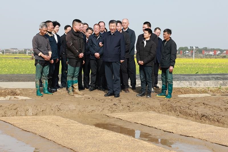 △2024年3月19日，在湖南常德市鼎城區(qū)謝家鋪鎮(zhèn)港中坪村，習(xí)近平總書記走進(jìn)田間，察看秧苗培育和春耕備耕進(jìn)展。