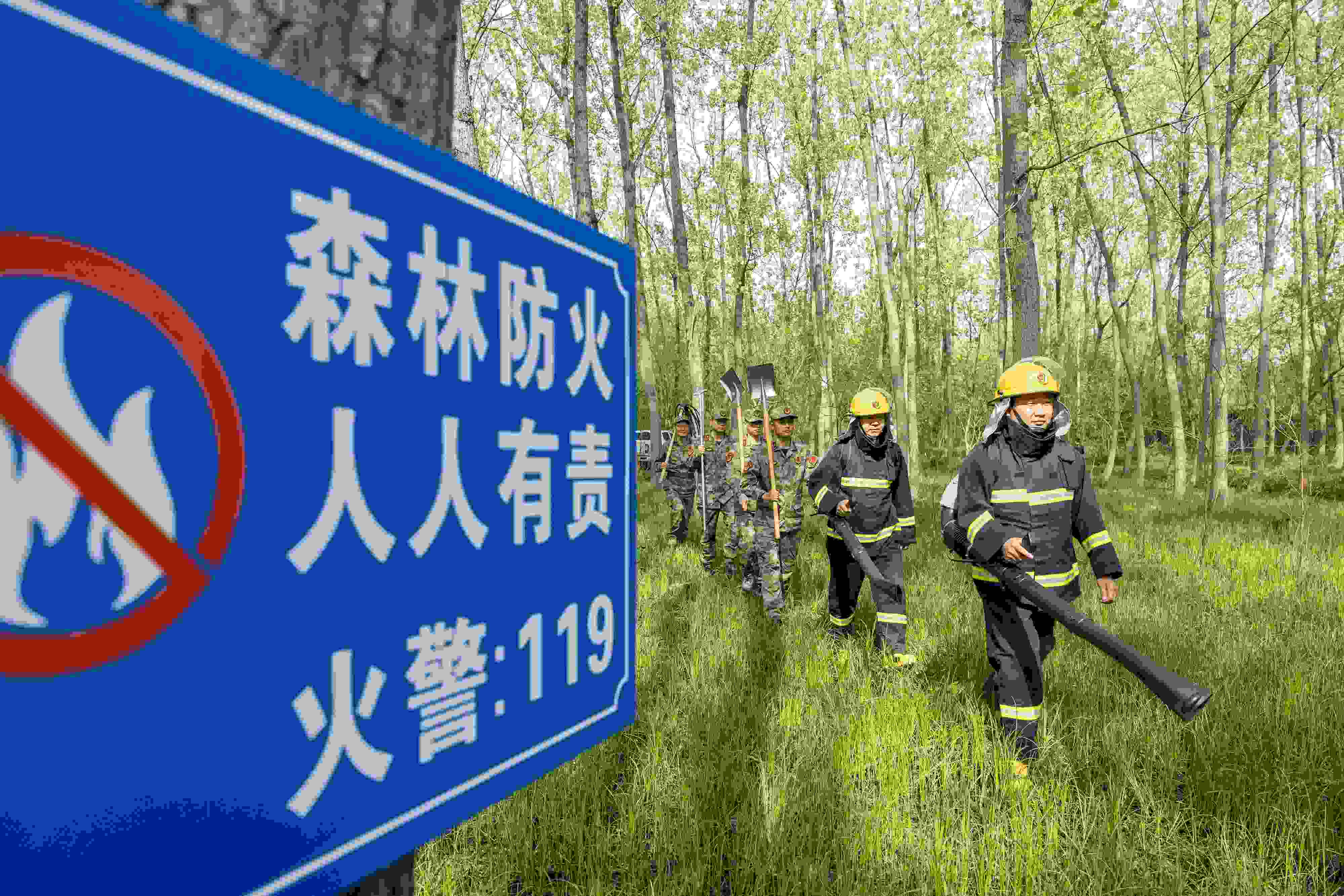 2024年4月9日，合肥市大房郢水庫(kù)水源保護(hù)地廬陽(yáng)經(jīng)濟(jì)開(kāi)發(fā)區(qū)段，基干民兵正在林間巡查火災(zāi)隱患。