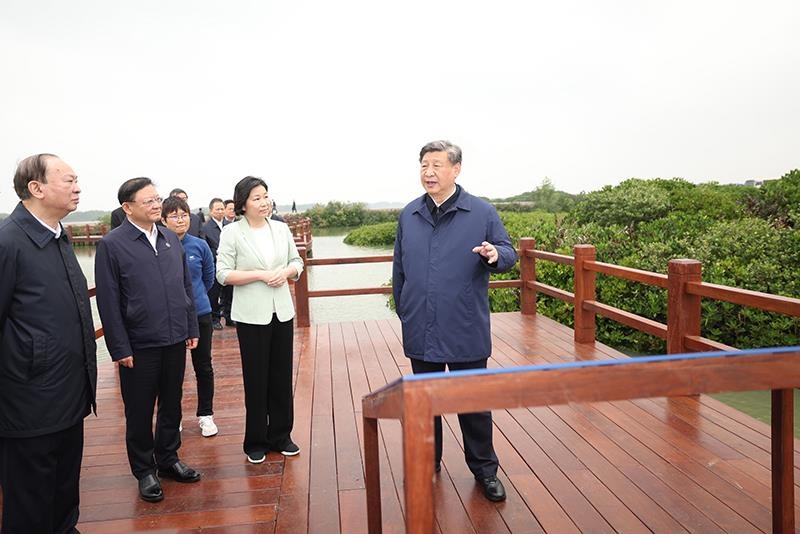 △2023年4月10日，習(xí)近平總書記在廣東湛江市麻章區(qū)湖光鎮(zhèn)金牛島紅樹林片區(qū)考察。
