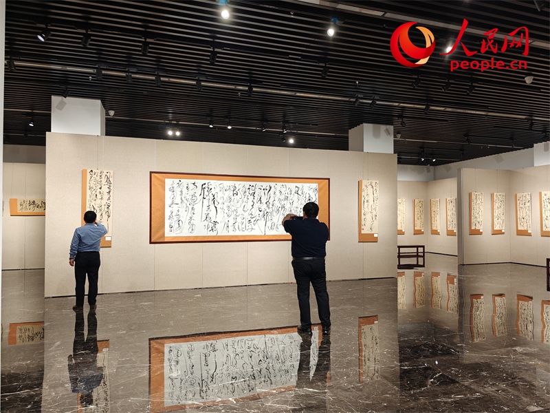 觀眾正在參觀展覽。人民網(wǎng)記者 韋衍行攝