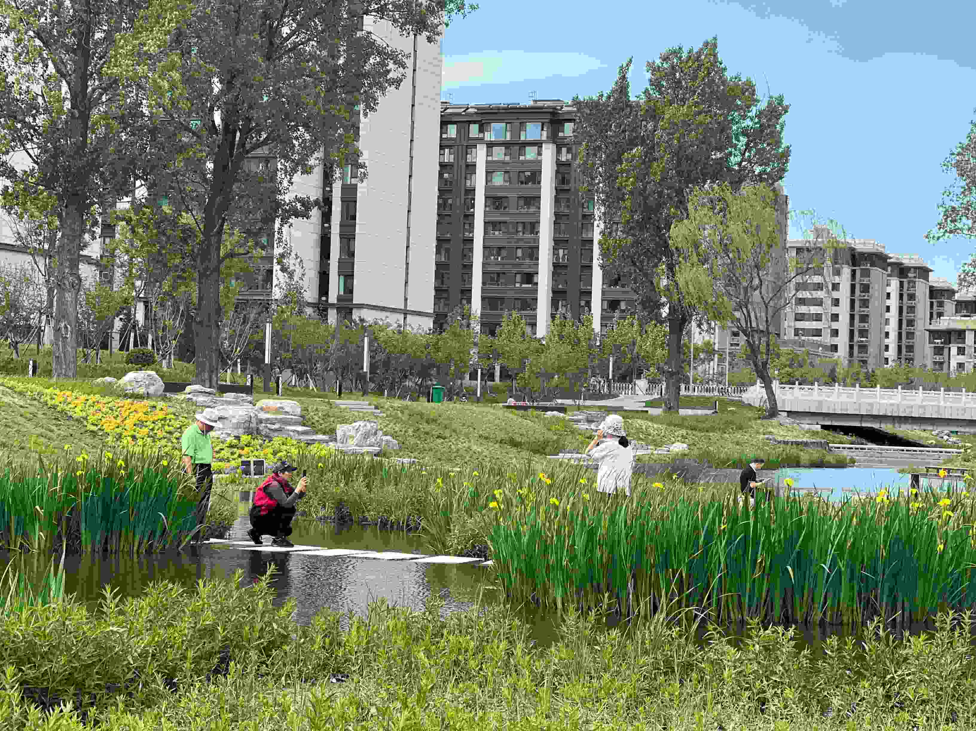 五一渠生態(tài)濱河公園內(nèi)，市民正在拍照留念。人民網(wǎng) 歐陽易佳攝