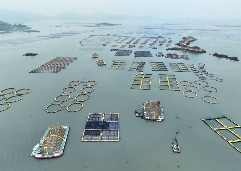 在福建連江定海灣海域，坐落著“定海灣1號”“定海灣2號”等深遠海養(yǎng)殖平臺（2024年5月7日攝，無人機照片）。新華社記者 林善傳 攝