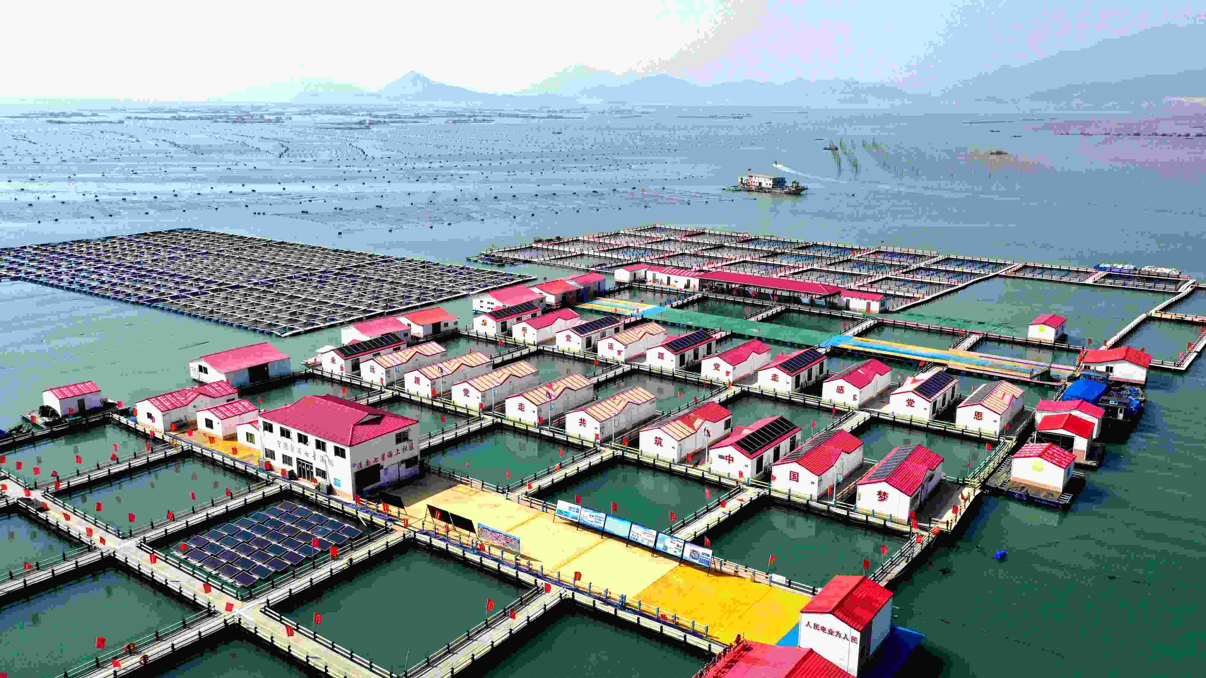 2024年3月20日，福建省寧德市，霞浦縣溪南鎮(zhèn)七星村漁排養(yǎng)殖示范區(qū)，漁民駕駛養(yǎng)殖船進(jìn)行海參養(yǎng)殖作業(yè)。