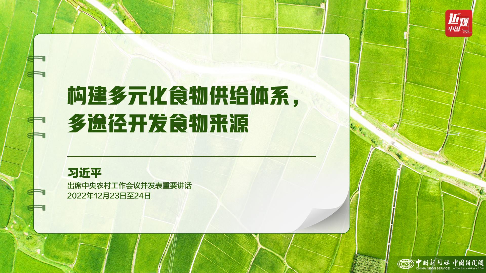習近平：樹立大食物觀，構建多元化食物供給體系