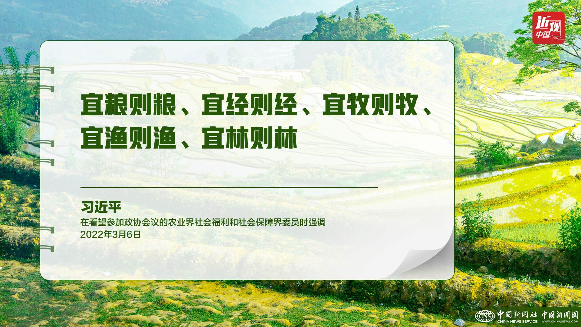 習近平：樹立大食物觀，構建多元化食物供給體系