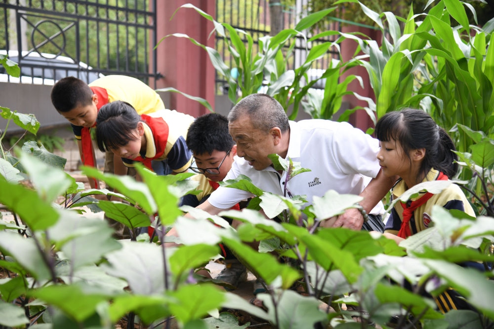 5月31日，老師帶領(lǐng)學(xué)生在之江小學(xué)勞動(dòng)實(shí)踐基地學(xué)習(xí)蔬菜知識(shí)。新華社記者 胥冰潔 攝