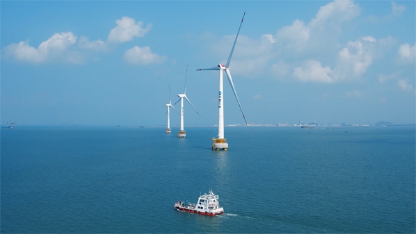 福建興化灣海上風電場。受訪者供圖