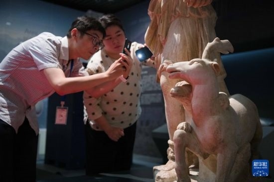 7月2日，安徽博物院工作人員在拍攝開箱后的古希臘文物。新華社記者 張端 攝