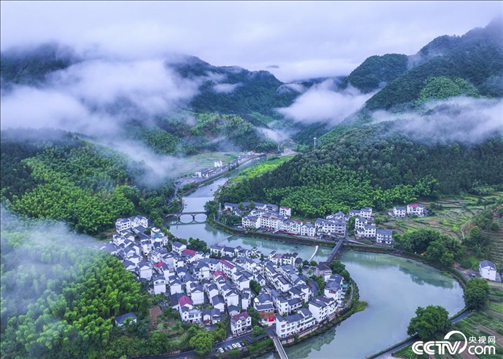 2024年6月19日，浙江省杭州市淳安縣楓樹嶺鎮(zhèn)下姜村，雨后云霧繚繞。