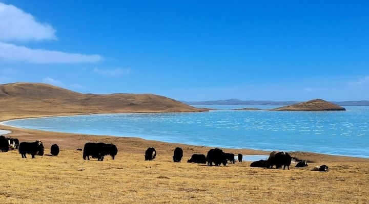 在三江源國(guó)家公園黃河源園區(qū)拍攝的扎陵湖風(fēng)光（2022年3月12日攝）。新華社記者 呂雪莉 攝