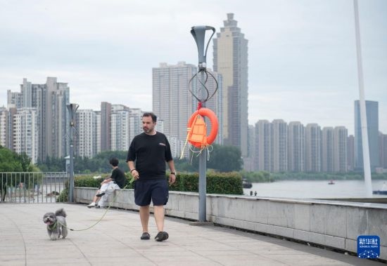 7月20日，在安徽蕪湖市，馬丁在長(zhǎng)江邊遛狗。新華社記者 傅天 攝