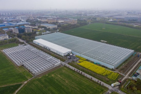 2024年3月28日，空中俯瞰嘉興南湖區(qū)湘家蕩農業(yè)數(shù)字化工廠（無人機照片）。該農業(yè)數(shù)字化工廠占地總面積約62畝，包含智慧農業(yè)生產、物聯(lián)網智能管理、自動分揀包裝、保鮮儲藏物流、高科技示范展示等五大功能區(qū)，可直接或間接培養(yǎng)帶動新型職業(yè)技術農民500人以上。新華社記者 徐昱 攝