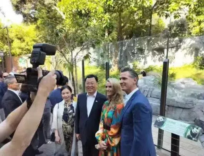 謝鋒大使及夫人與加州州長紐森夫婦在圣迭戈動物園大熊貓館前合影。圖片為中國駐美大使館提供