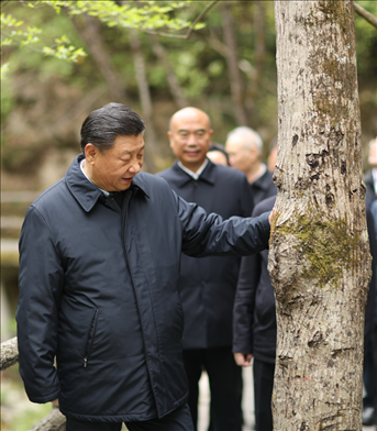 2020年4月，習(xí)近平總書記來到位于商洛市柞水縣的秦嶺牛背梁國家級自然保護區(qū)，考察秦嶺生態(tài)保護情況。新華社記者 鞠鵬 攝