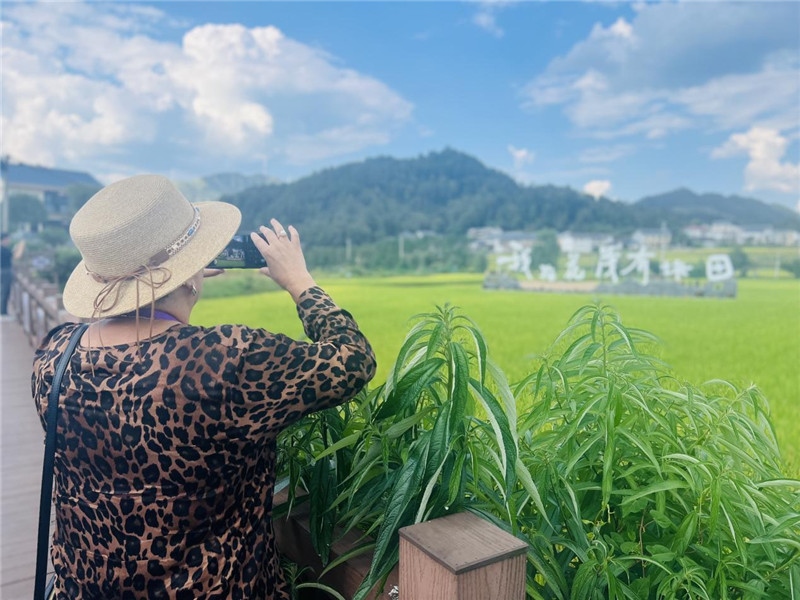 “我在花茂有塊田”，不僅是中國人的詩和遠(yuǎn)方，也是塔吉克斯坦“阿維斯塔”通訊社總編輯占納特洪·庫爾班諾娃的“烏托邦”。（張亞欣攝）