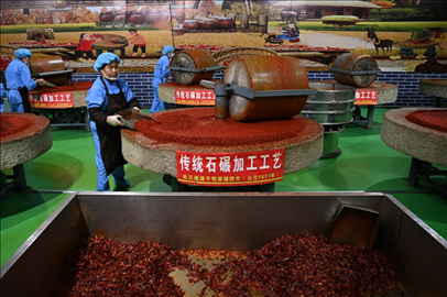 工人用電動石碾加工辣椒面。新華社記者 范培珅 攝