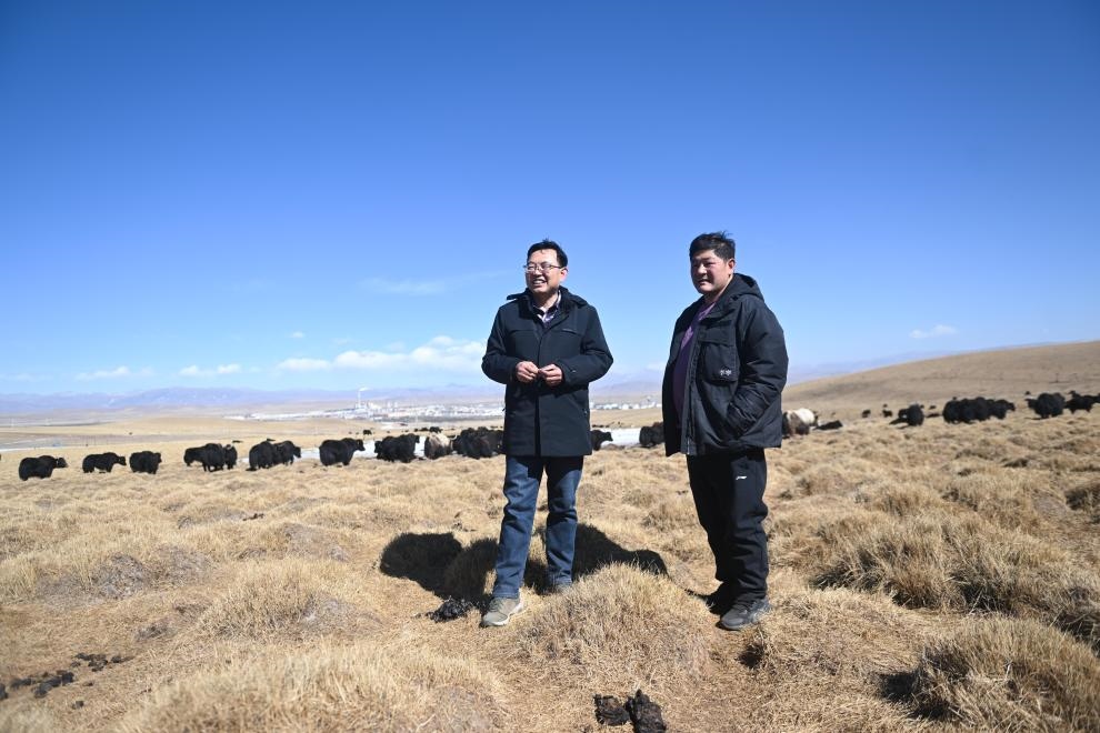 2023年2月24日，在青海省海北藏族自治州海晏縣青海湖鄉(xiāng)達(dá)玉日秀村，全國(guó)人大代表董全民（左）查看牧民東知布家的草場(chǎng)。新華社記者 張龍 攝