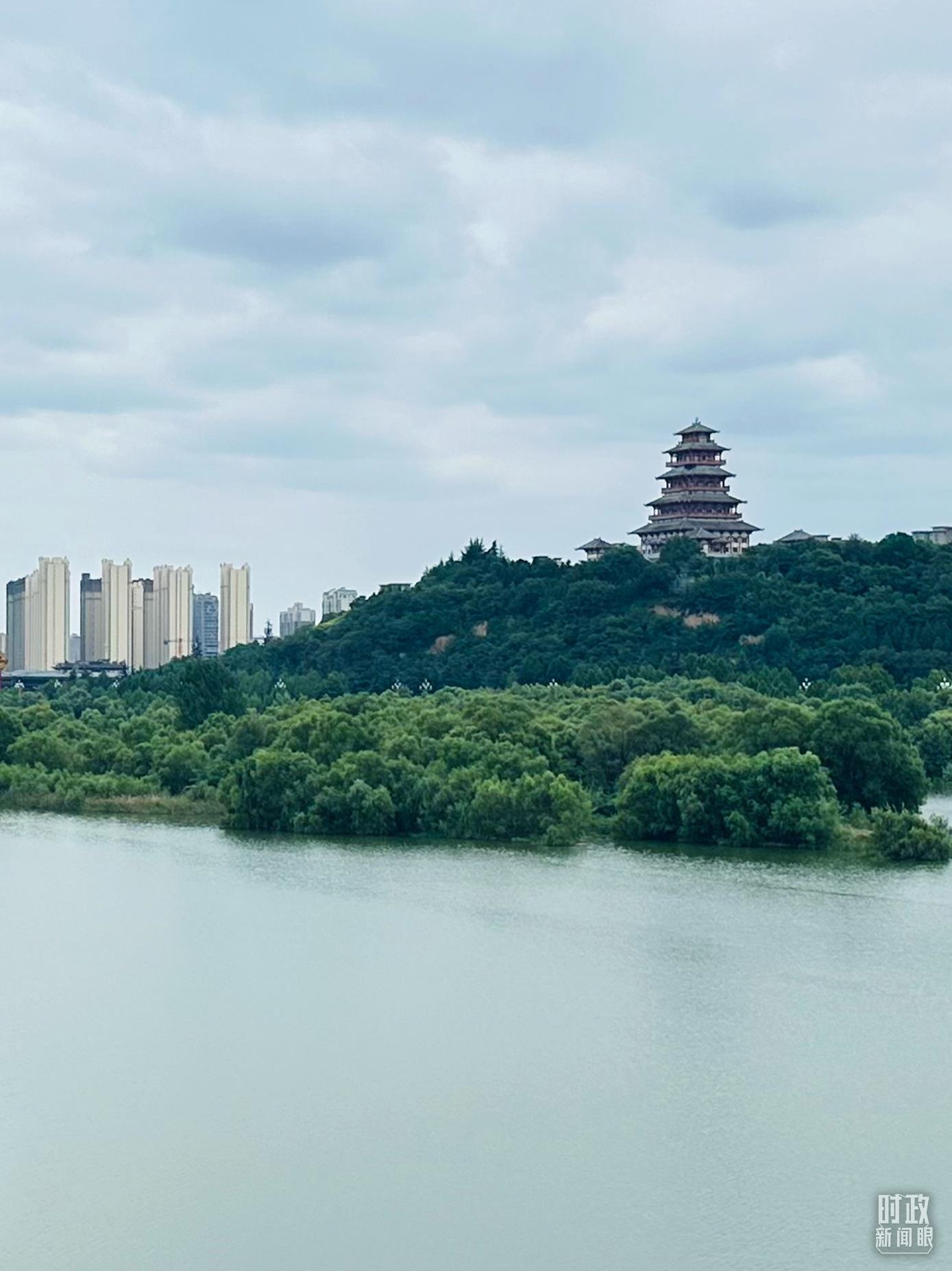 △渭河寶雞段長(zhǎng)224公里，目前建成17處渭河灘區(qū)生態(tài)涵養(yǎng)區(qū)。（總臺(tái)央視記者范一鳴拍攝）
