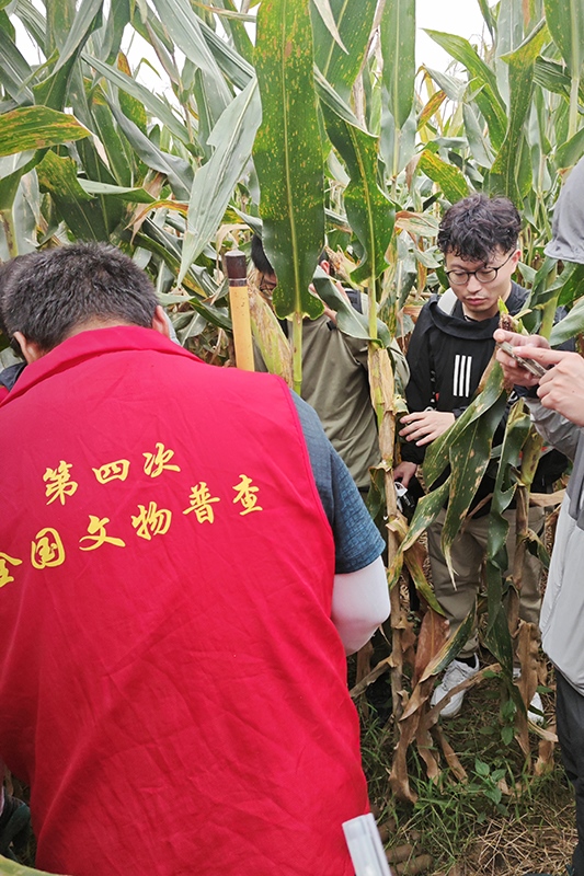 普查隊(duì)員正在使用探鏟進(jìn)行探測(cè)。中國(guó)文物報(bào)供圖