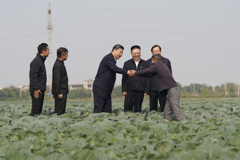 2024年11月5日，習(xí)近平在咸寧市嘉魚縣潘家灣鎮(zhèn)十里蔬菜長(zhǎng)廊考察時(shí)，同菜農(nóng)親切交流。