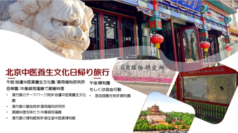 “你好！中國·休閑旅游—中國旅游說明會”宣講材料。中國駐東京旅游辦事處供圖