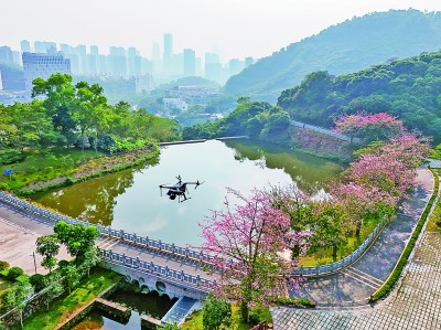 無人機在深圳塘朗山郊野公園里巡檢。新華社發(fā)