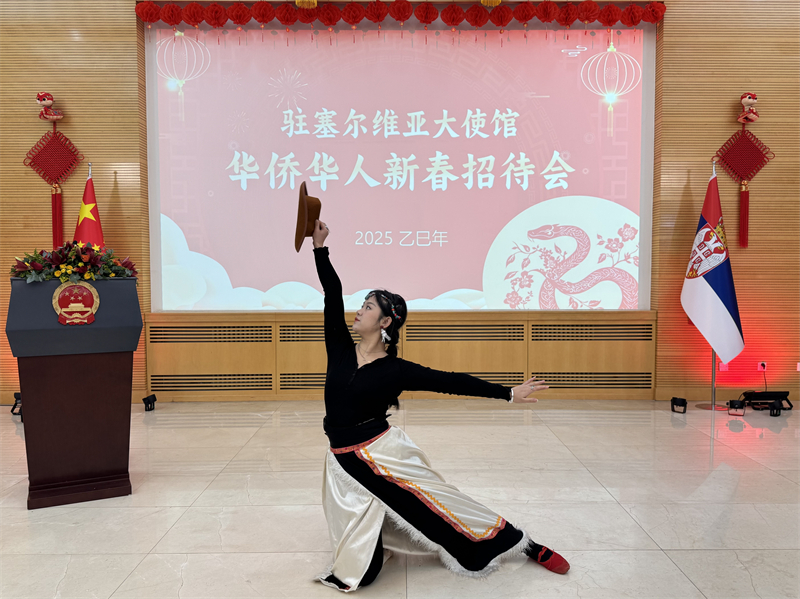 招待會現(xiàn)場表演。諾維薩德孔子學(xué)院供圖