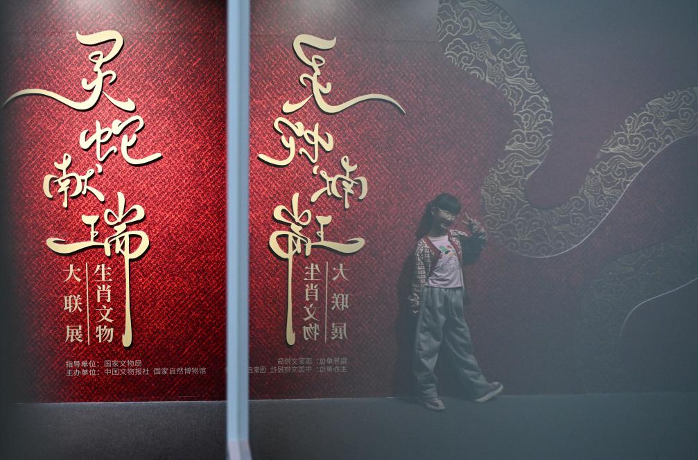1月18日，一名小朋友在國家自然博物館舉辦的“靈蛇獻瑞——2025乙巳蛇年生肖文物大聯(lián)展”展覽中拍照留念。（新華社記者 陳鐘昊 攝）