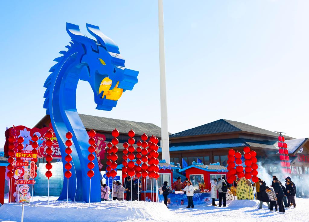 2025年1月，游客在遼寧錦州東方華地城海洋冰雪王國(guó)內(nèi)游覽。新華社發(fā)