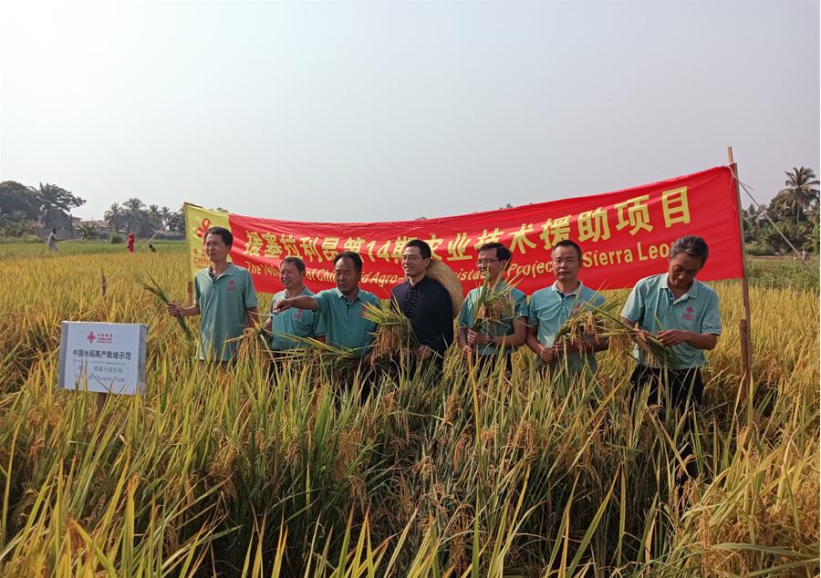 中國(guó)駐塞拉利昂大使王擎和援塞農(nóng)業(yè)專(zhuān)家組合影。中國(guó)援塞農(nóng)業(yè)專(zhuān)家組供圖