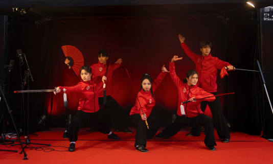 武術(shù)表演。中國(guó)駐芬蘭大使館供圖
