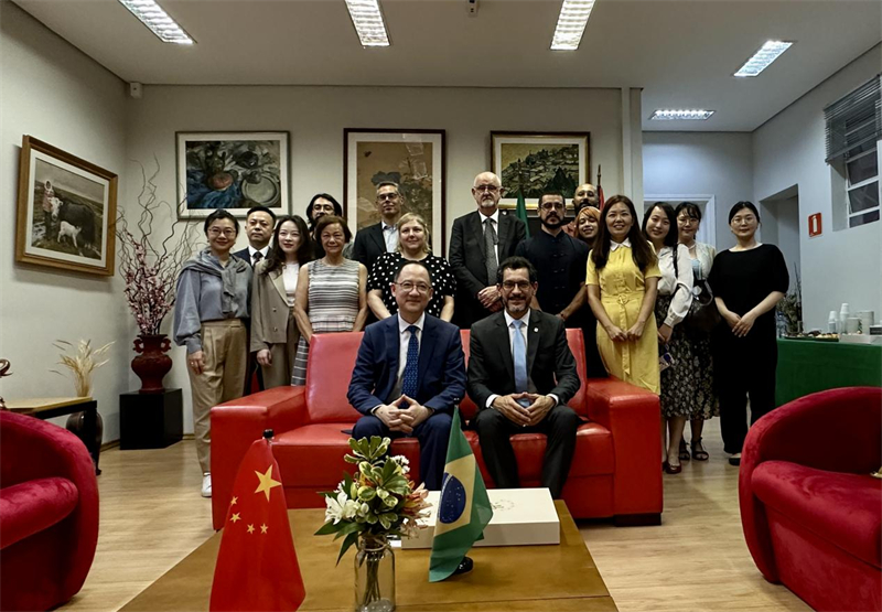 圖為參加座談會的來賓合影留念。 圣保羅州立大學(xué)孔子學(xué)院供圖
