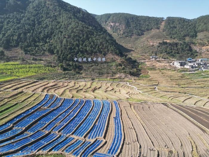 △近日，四川涼山一現(xiàn)代農(nóng)業(yè)園春耕育秧搶農(nóng)時。