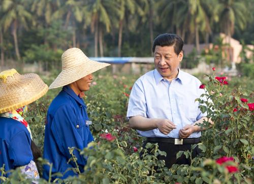 △2013年4月9日，習(xí)近平總書記在海南亞龍灣蘭德玫瑰風(fēng)情產(chǎn)業(yè)園向花農(nóng)了解玫瑰種植管理技術(shù)。