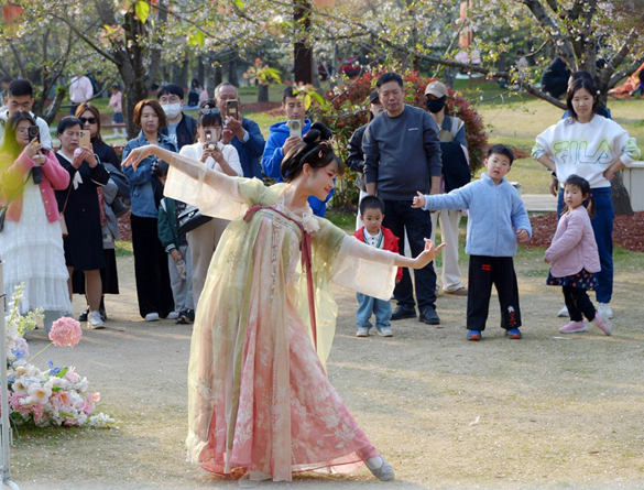 清明假期期間，上海顧村公園櫻花島上，游客在觀賞國風(fēng)漢服快閃表演。（圖片來源：視覺中國）