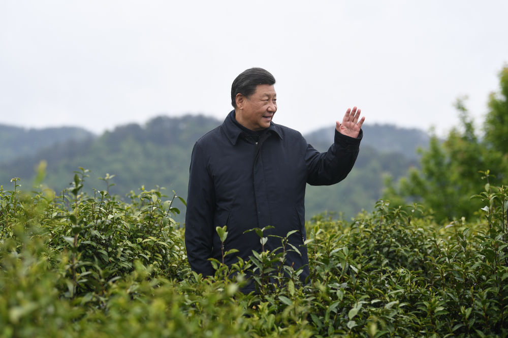 2020年4月21日，習(xí)近平總書記來到陜西安康市平利縣老縣鎮(zhèn)，在茶園考察脫貧攻堅(jiān)情況。新華社記者 燕雁 攝