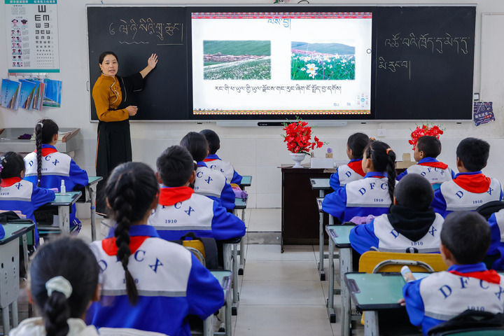 2024年9月27日，在四川省甘孜藏族自治州道孚縣城關(guān)第一完全小學(xué)，采取“藏加模式”教學(xué)的五年級一班的藏語文課上，準(zhǔn)木周老師指導(dǎo)藏族學(xué)生以家鄉(xiāng)草原風(fēng)物為主題寫作藏語文作文。新華社記者 沈伯韓 攝